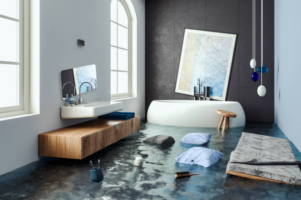 Best Carpet water damage restoration  in French Island, WI