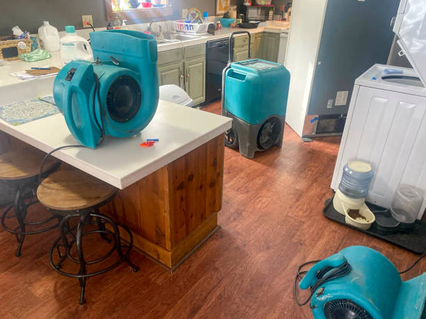 Best 24-hour water damage restoration  in French Island, WI