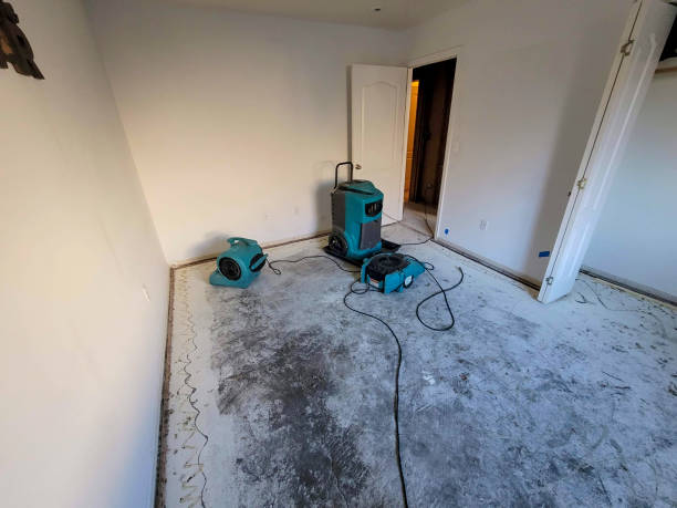 Best Water damage restoration cost  in French Island, WI