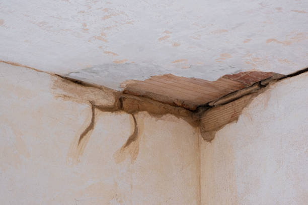 Best Local water damage restoration  in French Island, WI