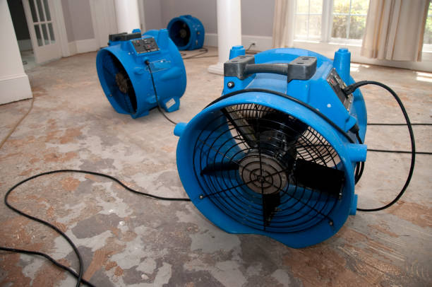 Best Residential water damage restoration  in French Island, WI