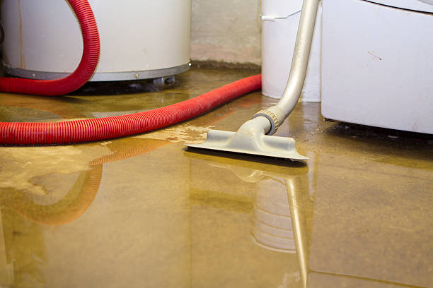 Best 24-hour water damage restoration  in French Island, WI