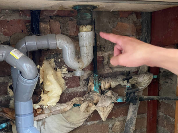 Best Flooded house restoration  in French Island, WI