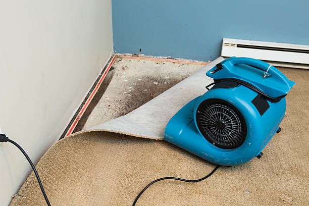 Best Water damage restoration near me  in French Island, WI